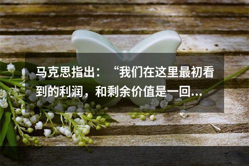 马克思指出：“我们在这里最初看到的利润，和剩余价值是一回事，