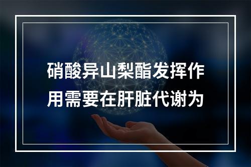 硝酸异山梨酯发挥作用需要在肝脏代谢为