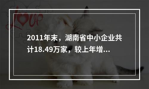 2011年末，湖南省中小企业共计18.49万家，较上年增长1