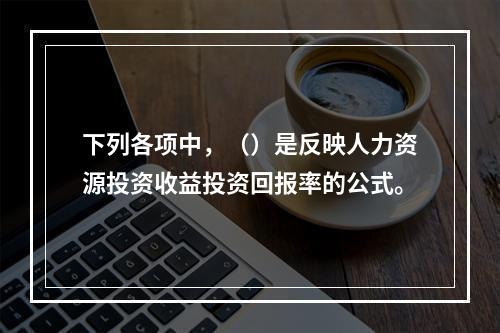 下列各项中，（）是反映人力资源投资收益投资回报率的公式。