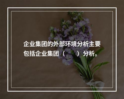 企业集团的外部环境分析主要包括企业集团（　　）分析。