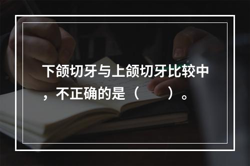 下颌切牙与上颌切牙比较中，不正确的是（　　）。