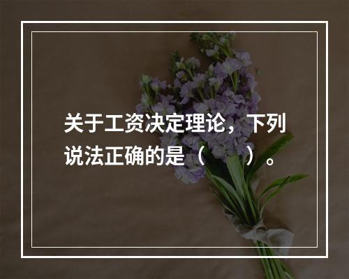 关于工资决定理论，下列说法正确的是（　　）。