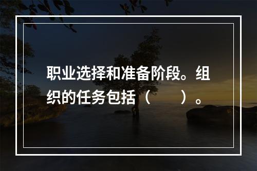 职业选择和准备阶段。组织的任务包括（　　）。