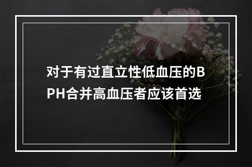 对于有过直立性低血压的BPH合并高血压者应该首选