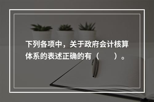 下列各项中，关于政府会计核算体系的表述正确的有（　　）。