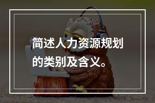 简述人力资源规划的类别及含义。