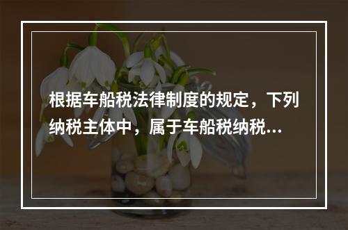 根据车船税法律制度的规定，下列纳税主体中，属于车船税纳税人的