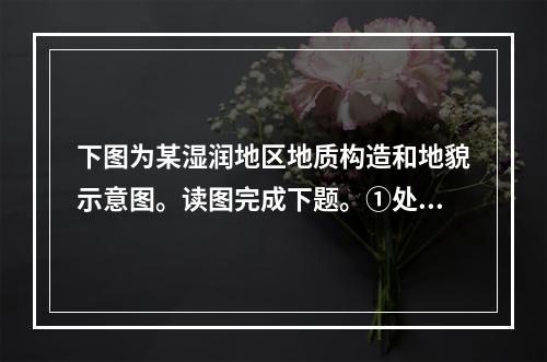 下图为某湿润地区地质构造和地貌示意图。读图完成下题。①处的地