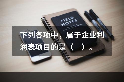 下列各项中，属于企业利润表项目的是（　）。