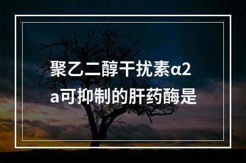 聚乙二醇干扰素α2a可抑制的肝药酶是