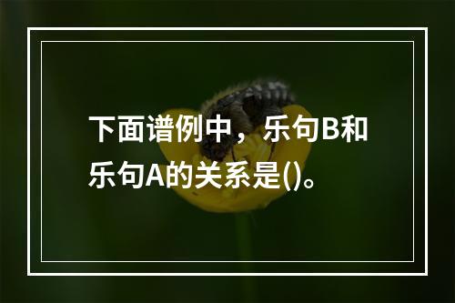 下面谱例中，乐句B和乐句A的关系是()。