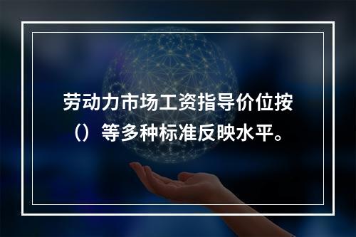 劳动力市场工资指导价位按（）等多种标准反映水平。