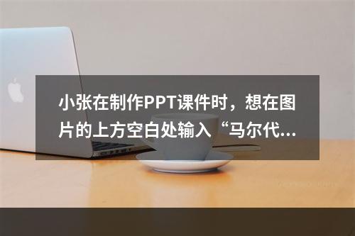 小张在制作PPT课件时，想在图片的上方空白处输入“马尔代夫”