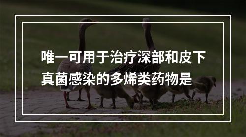 唯一可用于治疗深部和皮下真菌感染的多烯类药物是