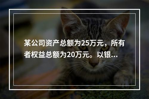 某公司资产总额为25万元，所有者权益总额为20万元。以银行存