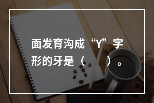 面发育沟成“Y”字形的牙是（　　）。