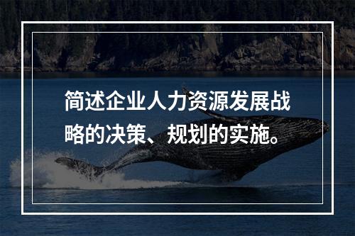 简述企业人力资源发展战略的决策、规划的实施。