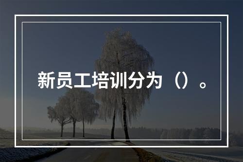 新员工培训分为（）。