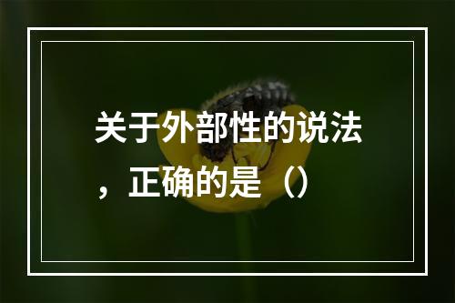 关于外部性的说法，正确的是（）