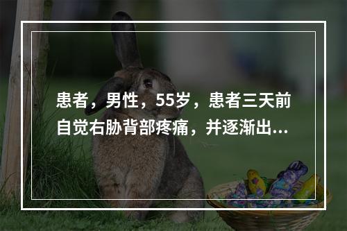 患者，男性，55岁，患者三天前自觉右胁背部疼痛，并逐渐出现