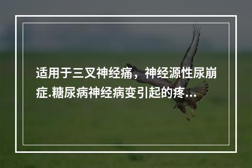 适用于三叉神经痛，神经源性尿崩症.糖尿病神经病变引起的疼痛的