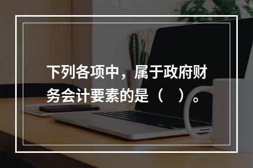 下列各项中，属于政府财务会计要素的是（　）。