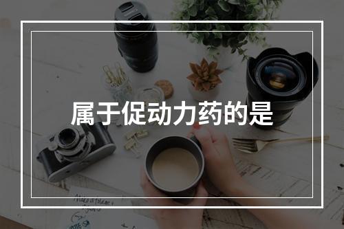 属于促动力药的是