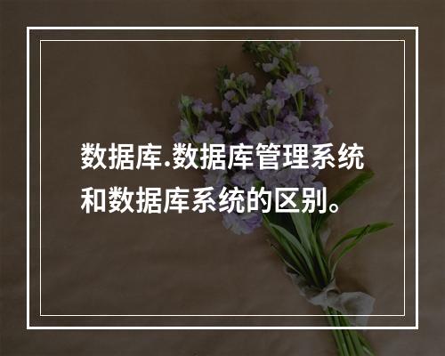 数据库.数据库管理系统和数据库系统的区别。