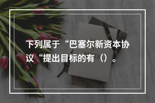 下列属于“巴塞尔新资本协议“提出目标的有（）。