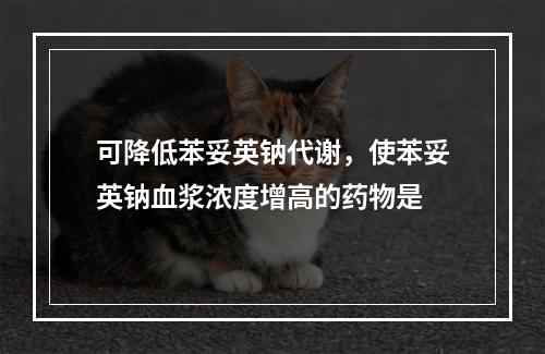 可降低苯妥英钠代谢，使苯妥英钠血浆浓度增高的药物是