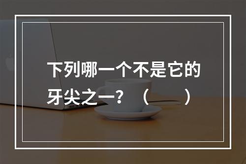 下列哪一个不是它的牙尖之一？（　　）