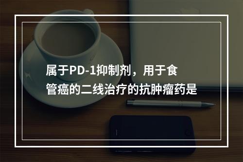 属于PD-1抑制剂，用于食管癌的二线治疗的抗肿瘤药是