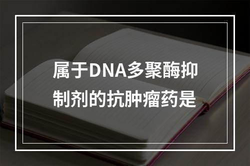 属于DNA多聚酶抑制剂的抗肿瘤药是