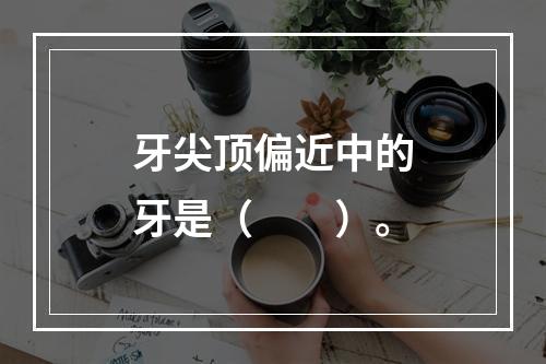 牙尖顶偏近中的牙是（　　）。