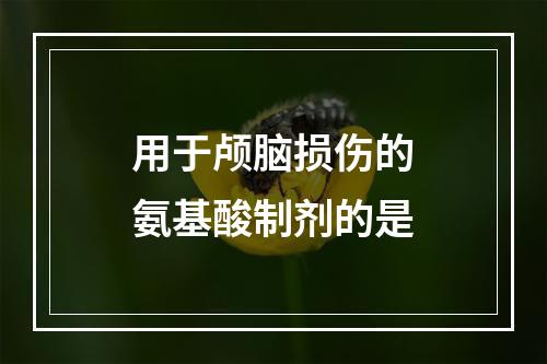 用于颅脑损伤的氨基酸制剂的是