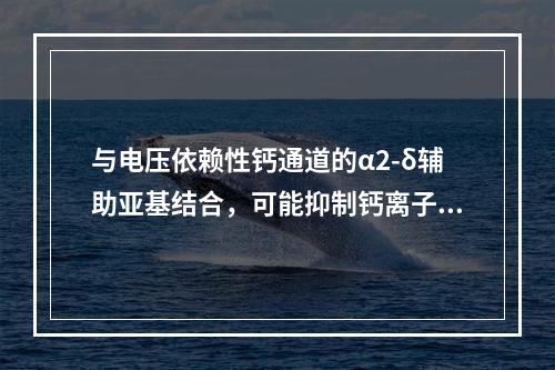 与电压依赖性钙通道的α2-δ辅助亚基结合，可能抑制钙离子内流