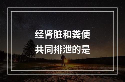 经肾脏和粪便共同排泄的是