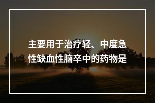 主要用于治疗轻、中度急性缺血性脑卒中的药物是