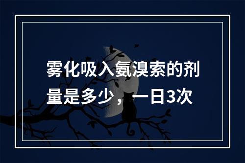 雾化吸入氨溴索的剂量是多少，一日3次