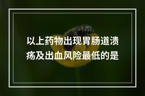 以上药物出现胃肠道溃疡及出血风险最低的是