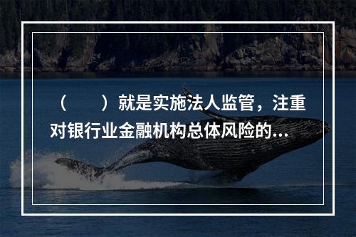 （  ）就是实施法人监管，注重对银行业金融机构总体风险的把握