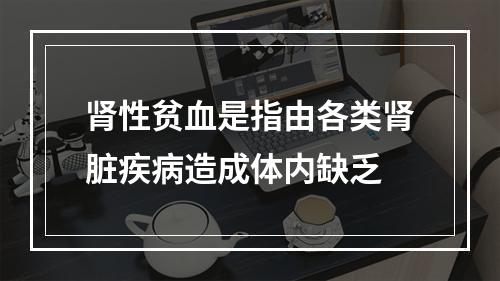 肾性贫血是指由各类肾脏疾病造成体内缺乏