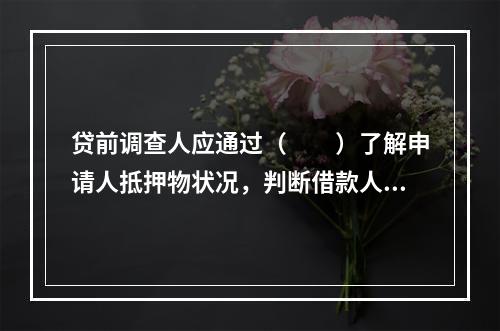 贷前调查人应通过（  ）了解申请人抵押物状况，判断借款人所经