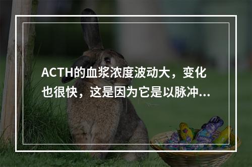 ACTH的血浆浓度波动大，变化也很快，这是因为它是以脉冲方式