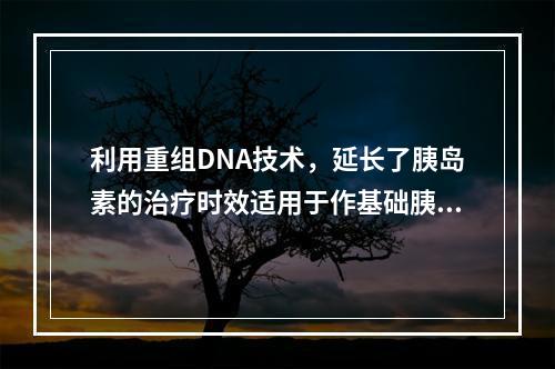 利用重组DNA技术，延长了胰岛素的治疗时效适用于作基础胰岛素