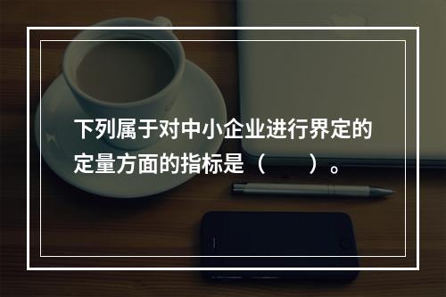 下列属于对中小企业进行界定的定量方面的指标是（　　）。