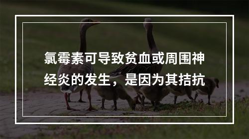 氯霉素可导致贫血或周围神经炎的发生，是因为其拮抗