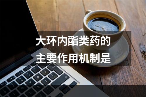 大环内酯类药的主要作用机制是