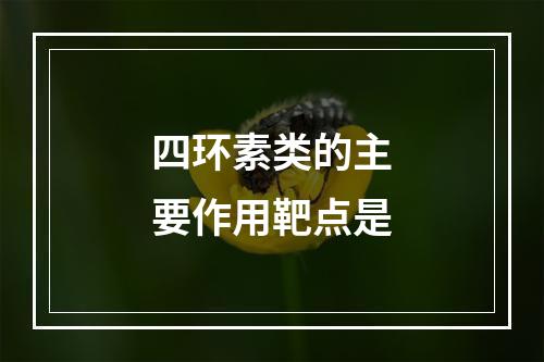 四环素类的主要作用靶点是